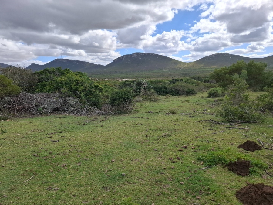 4 Bedroom Property for Sale in Albertinia Western Cape
